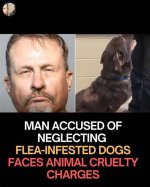 A Journey into a Troubling Case