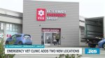 Affordable Emergency Vet Near Me: Your Guide to Finding Quality Care for Your Pet
