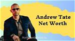Andrew Lauren Net Worth, Income, Salary, Earnings, Biography