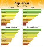 Aquarius Man Capricorn Woman Compatibility ·