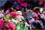 Aubreigh Doll: a Journey into the World of Imagination and Creativity