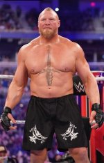 Brock Lesnar's Fighting Style: a Unique Blend of Power and Technique