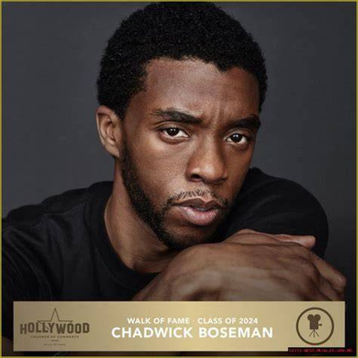 Chadwick Aaron Boseman: the Legacy of a True Icon