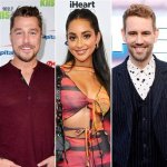 Chris Soules Wife 2024: All You Need to Know