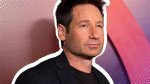 David Duchovny: the Versatile Star of Film and Television
