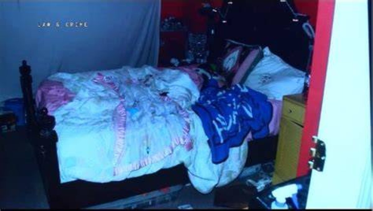 Dee Dee Blanchard Crime Scene Photos: Unraveling the Mystery Behind the Tragic Story