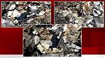 Delphi Murders Photos and Crime Unveiled
