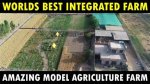 Discover a World of Agriculture at the Annual Cummington Fair