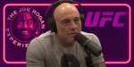 Discover the Ages of Joe Rogan's Children