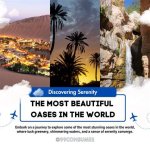 Discovering Serenity: a Holiday in the Wild