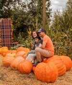 Discovering the Magic of Live Oak Pumpkin Patch: a Seasonal Delight