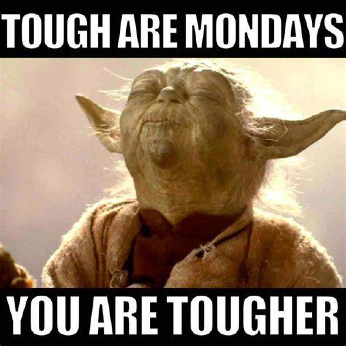 Embrace the Week with Free Monday Memes