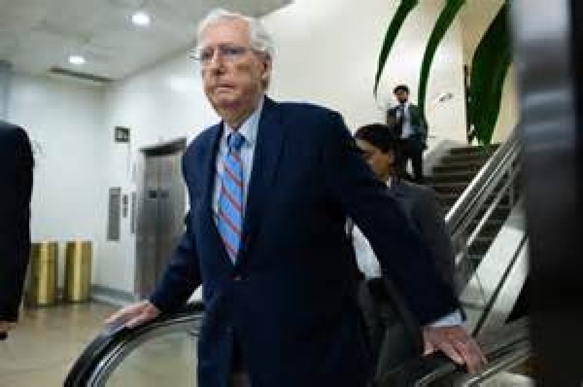 Everything to Know About Connecticut Senator |