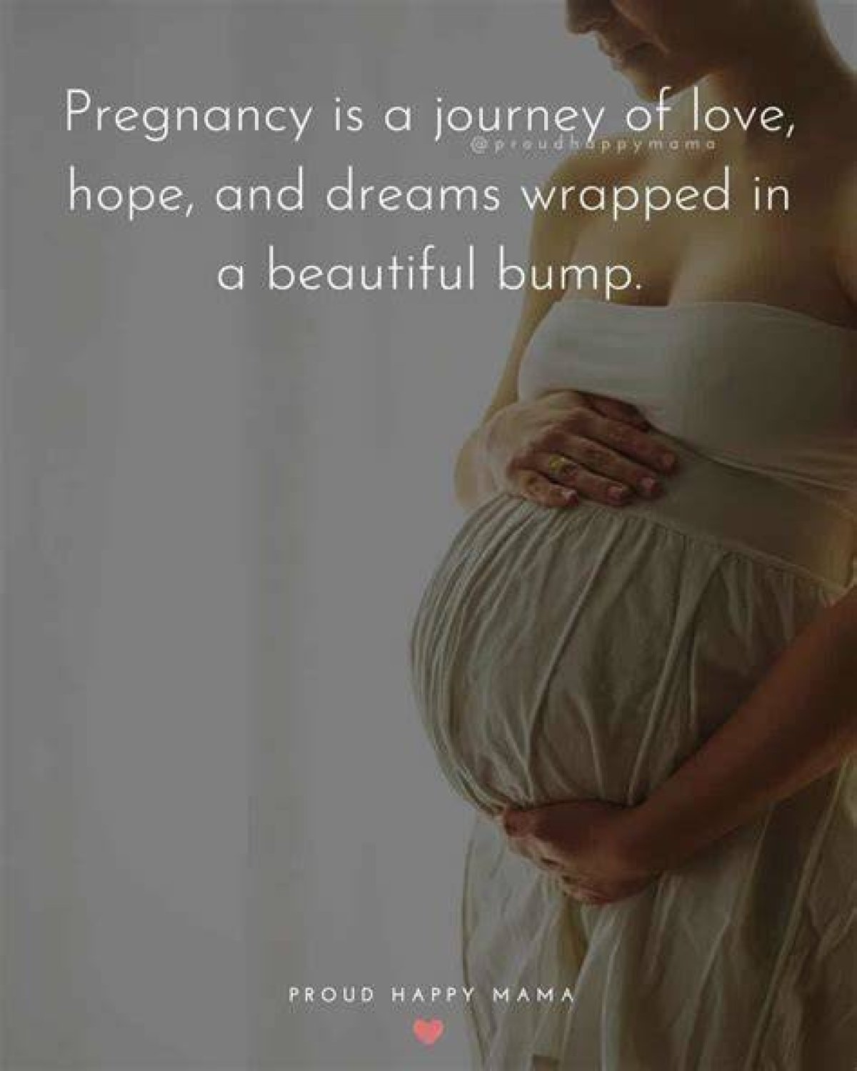 Expecting a Legacy: the Journey of Pregnant Michele Obama