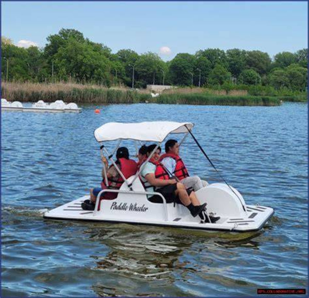 Experience Adventure with Rent a Pedal Boat Wheel of Fortune