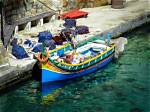 Experience the Unforgettable Finess of Maltese Fayes