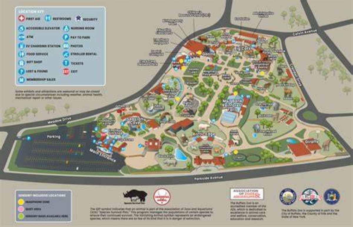 Exploring Buffalo Zoo: a Comprehensive Guide to One of America's Oldest Zoos