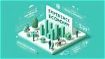 Exploring Experience, Growth, and Impact
