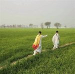 Exploring Mydesi. Com: Your Ultimate Guide to South Asian Culture and Lifestyle