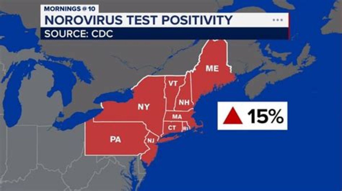 Exploring the Current Stomach Virus Outbreak Map 2024