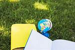 Exploring the Enchantment of Terri Ficca Globe Park