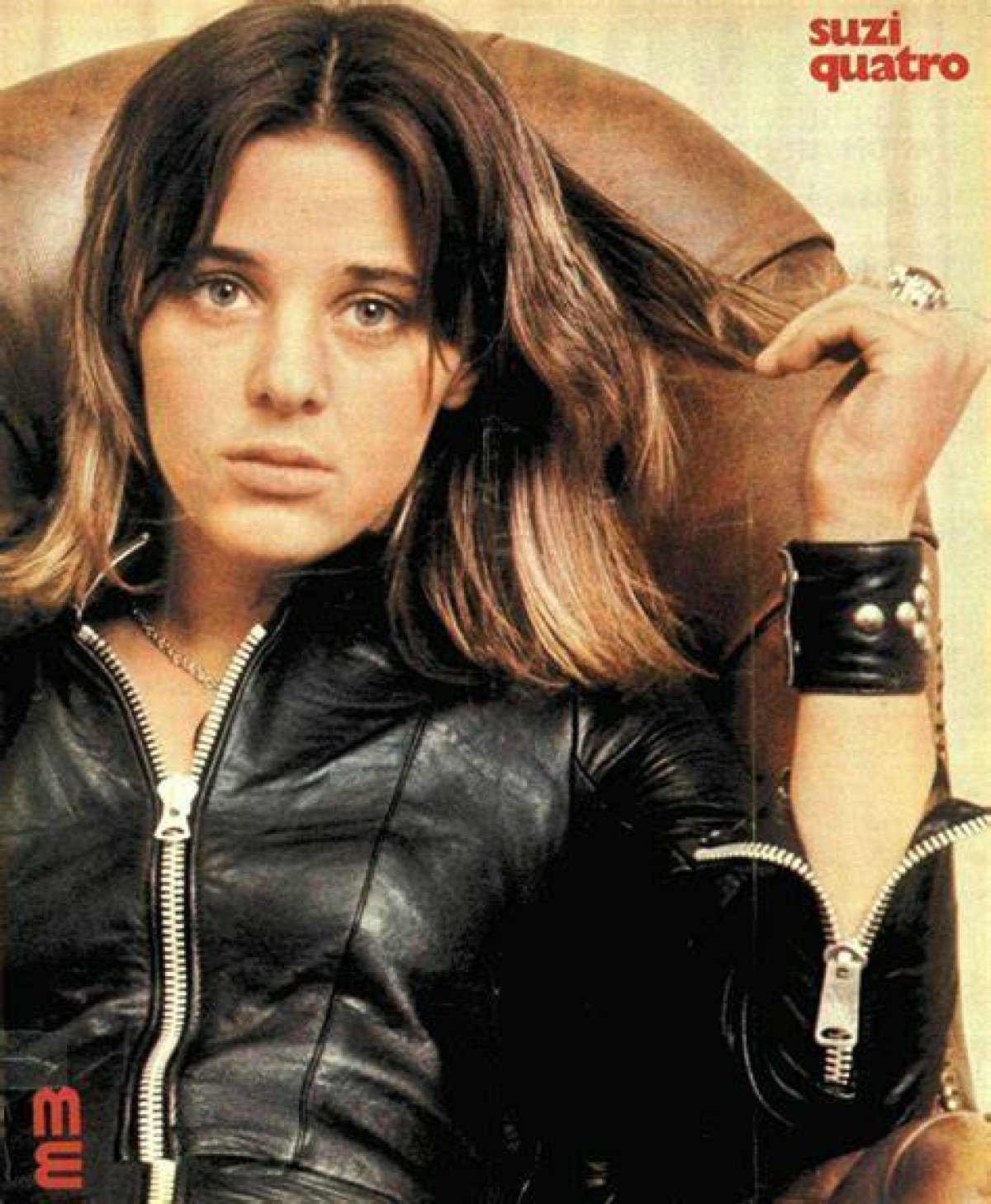 Exploring the Enigmatic "Suzi Quatro Nude"