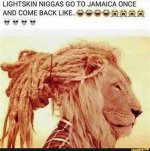 Exploring the Evolution of the Niggas Meme: from Origins to Social Commentary
