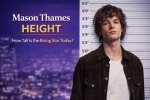 Exploring the Height of the Rising Star