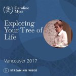 Exploring the Life and Legacy of Caroline Mcwilliams