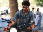 Exploring the Rise of Dhruv Vikram, the Talented Actor