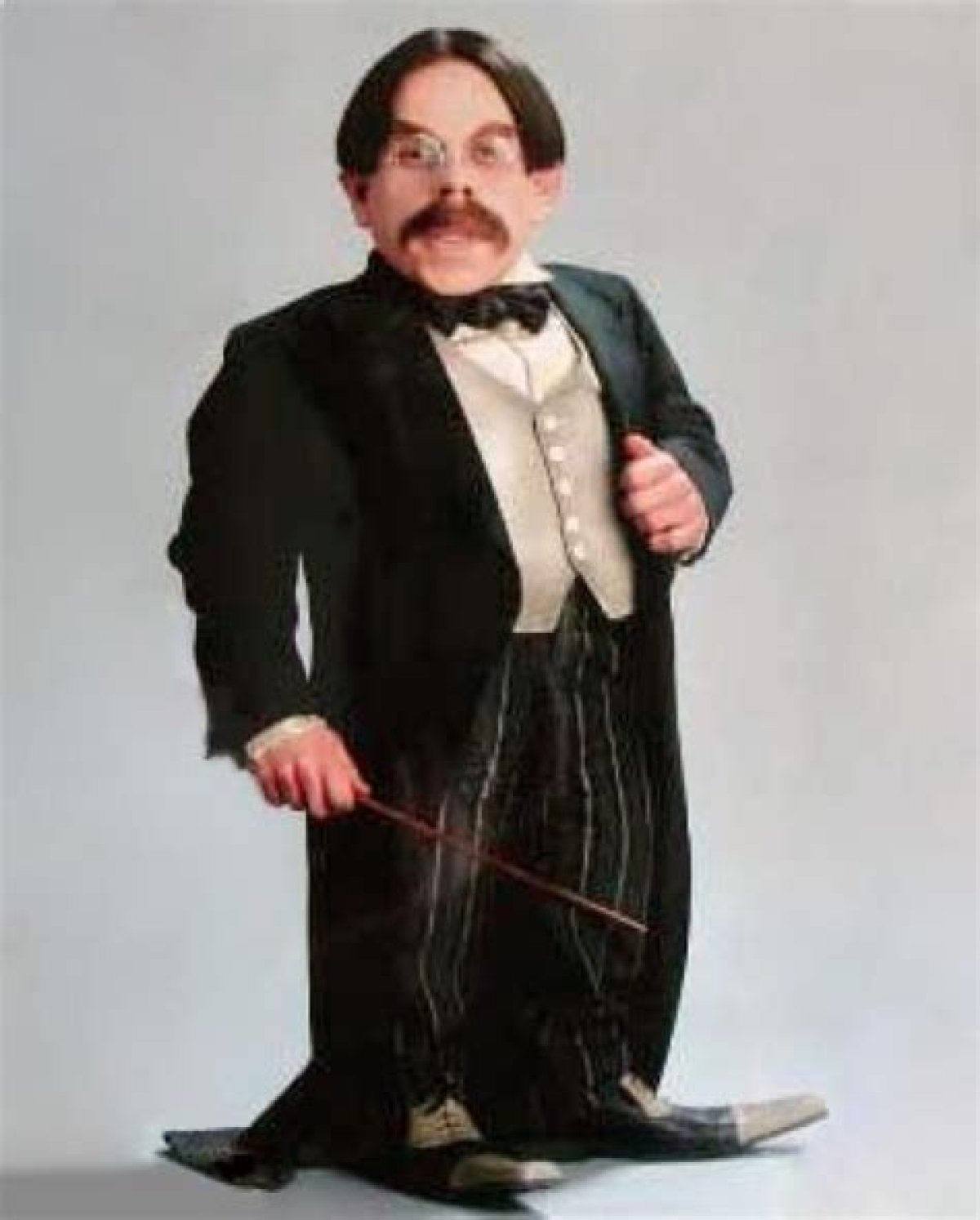 Filius Flitwick Actor: the Life and Career of Warwick Davis