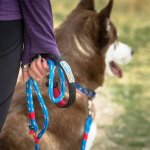 Great Dog Leashes: Choosing the Best for Your Furry Friend