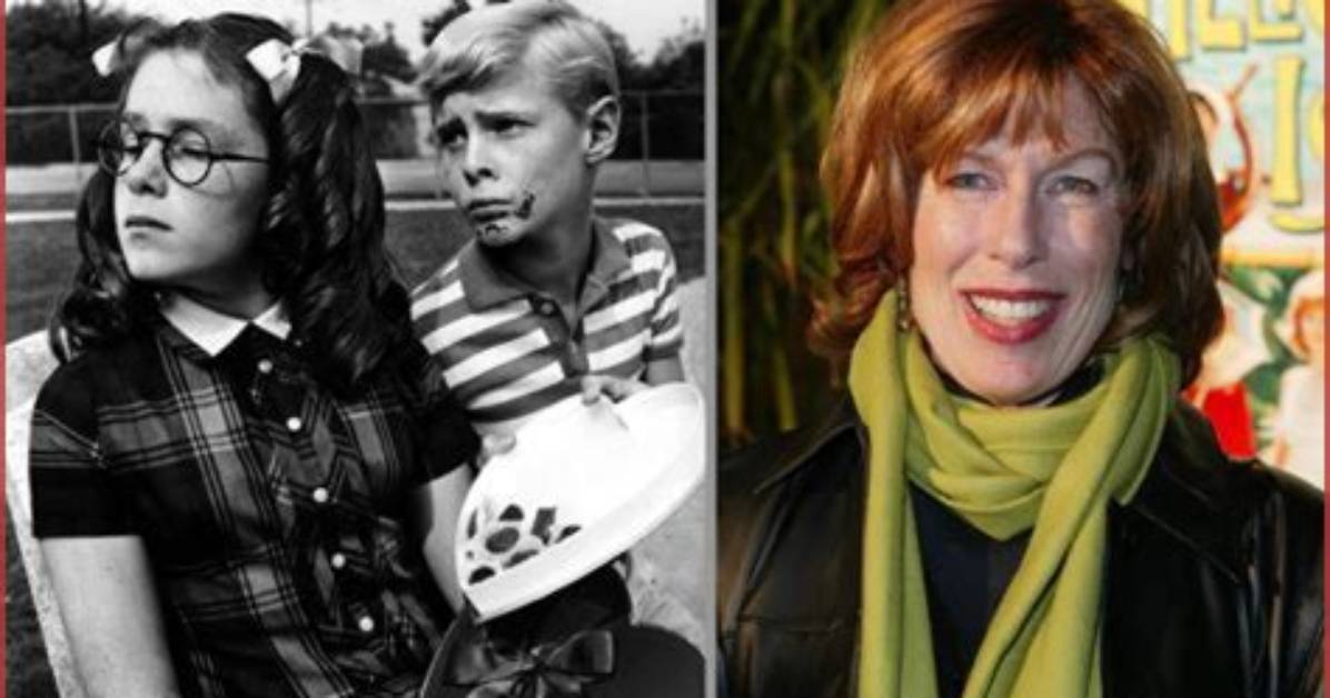 Jay North: the Journey of a Child Star