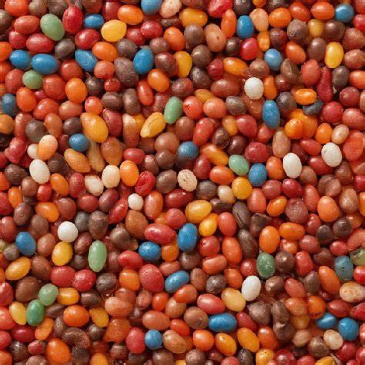 Jelly Beans Fucked: a Comprehensive Exploration