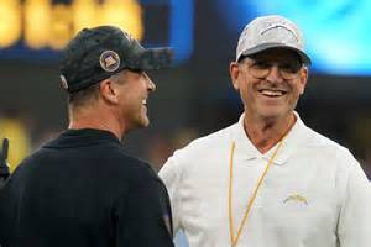 Jim Harbaugh's Brother: a Comprehensive Exploration