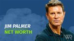 Jim Palmer Net Worth: How Much Did the Hall of Fame Pitcher Earn?