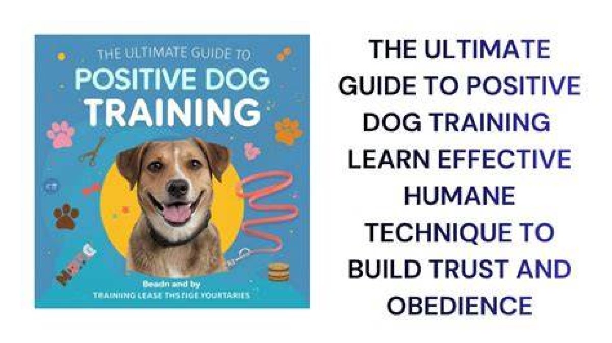 K9Lady: the Ultimate Guide to Dog Training and Care