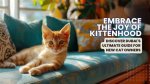 Kitten Academy: the Ultimate Guide to Feline Education and Care