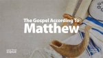 Matthew Oerry: a Journey Through Talent and Endurance