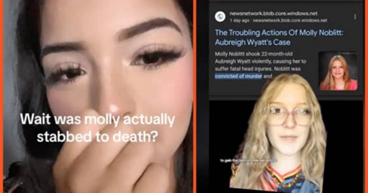 Molly Noblitt: the Arrest That Shocked the Community