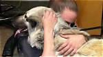 Owner Reunited with Her Dog That Roamed the Atlanta Airport for 3 Weeks ·