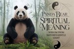 Panda Ritual: Understanding the Cultural Significance and Conservation Efforts