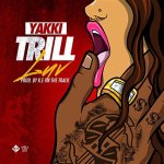 Pulsedash | Trill Luv Yakki Lyrics