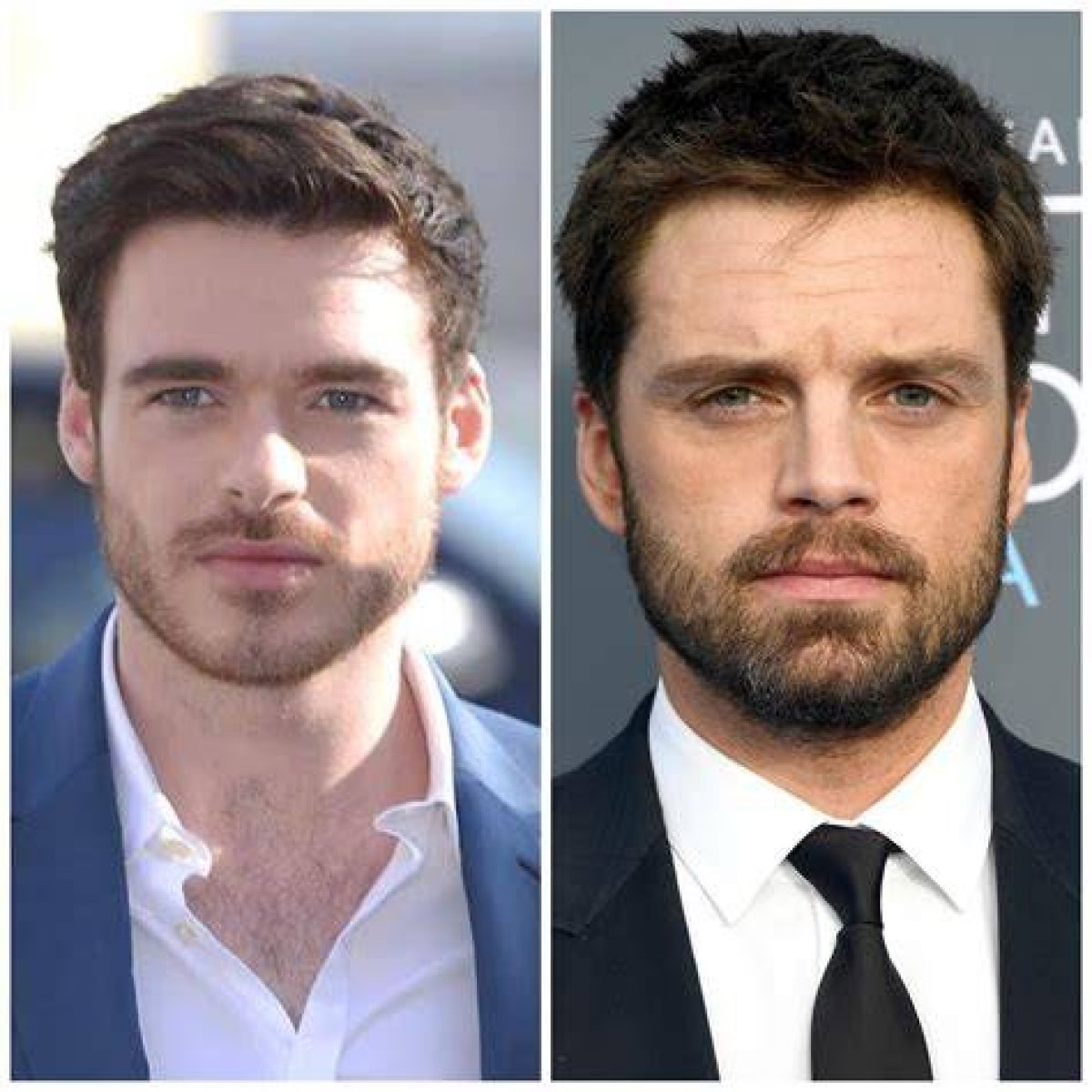 Richard Madden and Sebastian Stan: a Deep Dive into Their Lives and Careers
