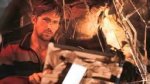 Ryan Gosling's Dad: the Man Behind the Star