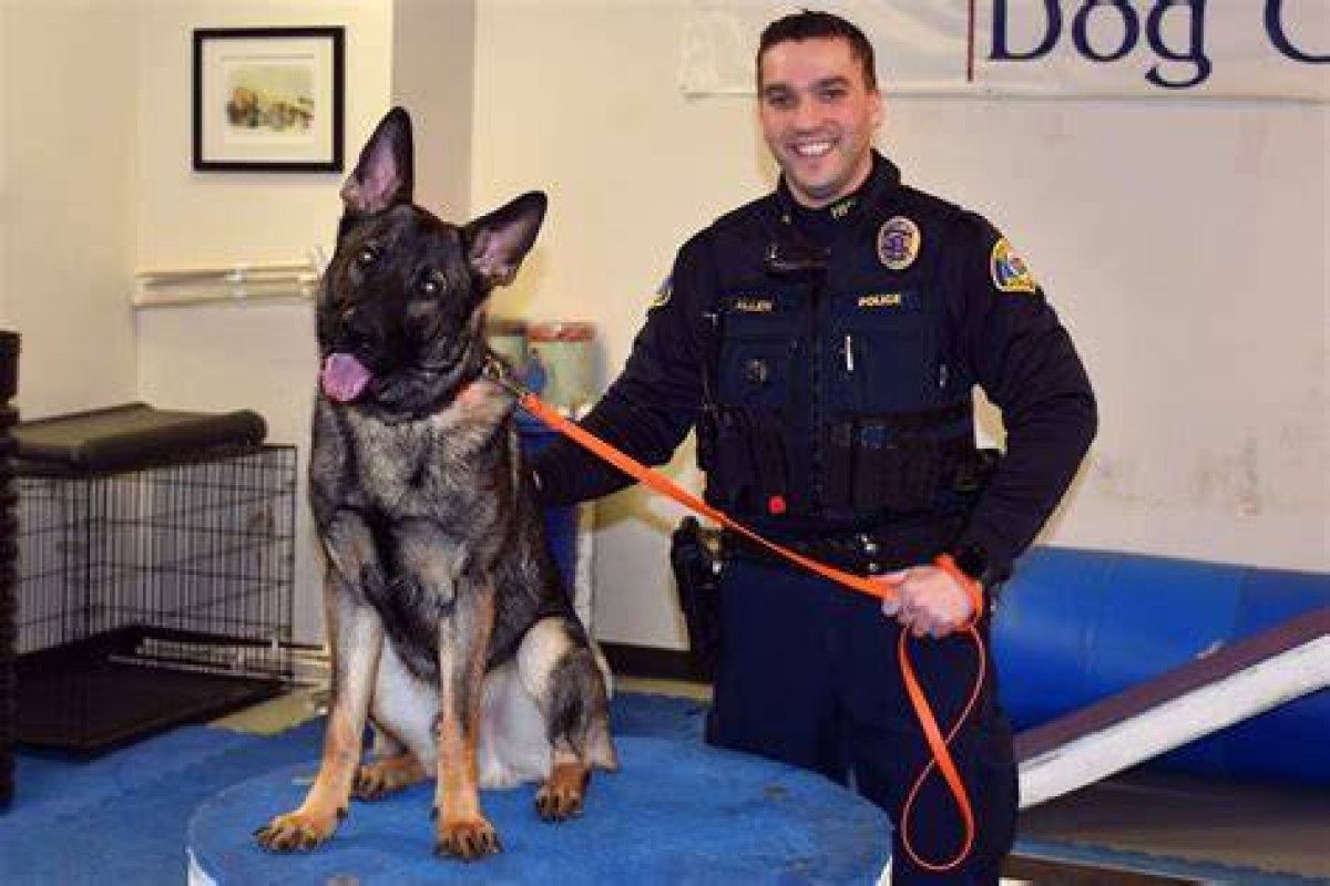 Shining a Light on Officer Ryan Allen's Life and Sacrifice: Uncover Untold Stories