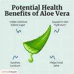 Sweetening the Aloe: the Benefits of Adding Sugar to Your Aloe Vera Plant