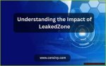 Teen Leaks: Understanding the Risks and Implications of Digital Privacy for Adolescents