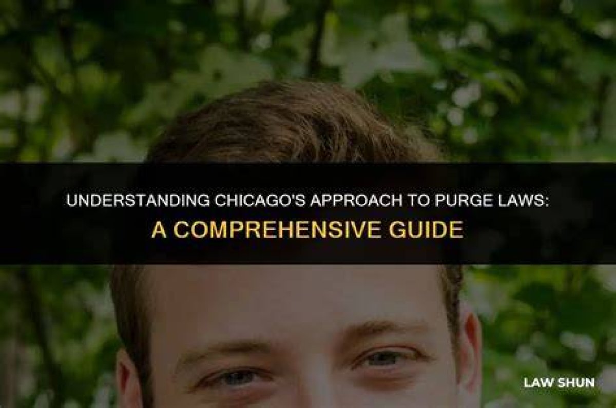 The Comprehensive Guide to Understanding the Purge Movie