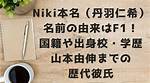 The Fascinating Journey of Niki Name Origin